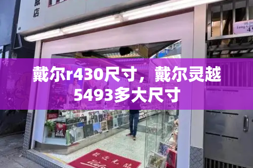 戴尔r430尺寸，戴尔灵越5493多大尺寸