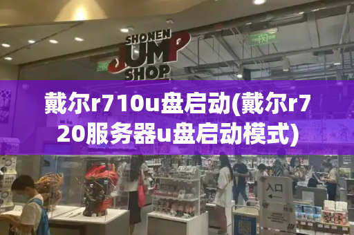 戴尔r710u盘启动(戴尔r720服务器u盘启动模式)