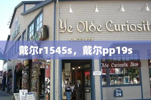 戴尔r1545s，戴尔pp19s
