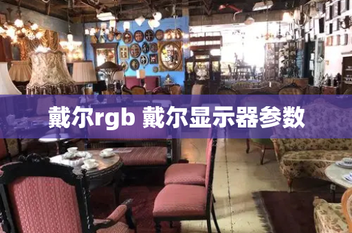 戴尔rgb 戴尔显示器参数