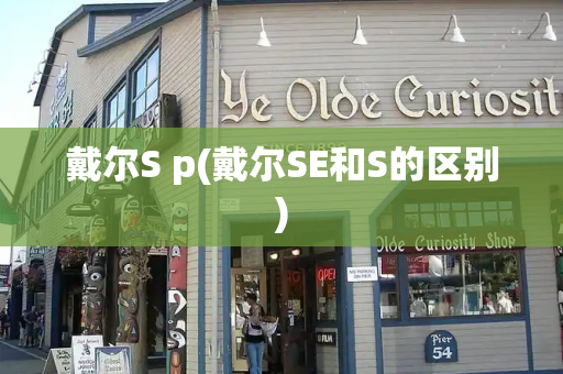 戴尔S p(戴尔SE和S的区别)-第1张图片-星选测评