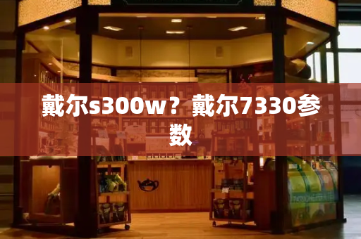 戴尔s300w？戴尔7330参数-第1张图片-星选测评