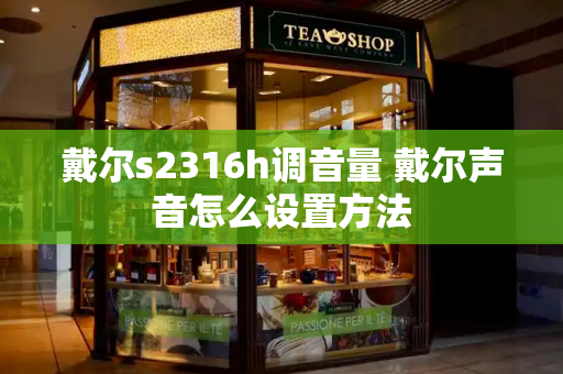 戴尔s2316h调音量 戴尔声音怎么设置方法