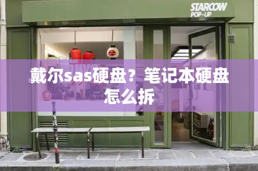 戴尔sas硬盘？笔记本硬盘怎么拆