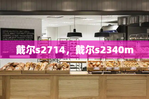 戴尔s2714，戴尔s2340m-第1张图片-星选测评