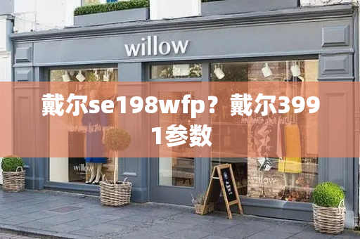 戴尔se198wfp？戴尔3991参数-第1张图片-星选测评