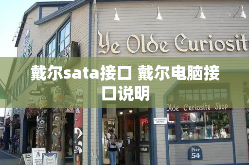 戴尔sata接口 戴尔电脑接口说明