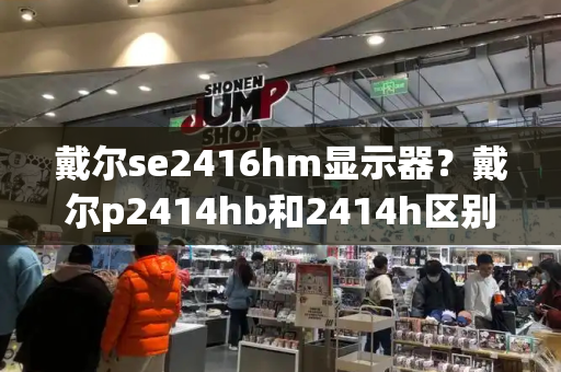 戴尔se2416hm显示器？戴尔p2414hb和2414h区别