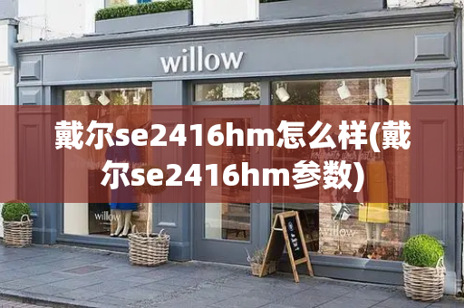 戴尔se2416hm怎么样(戴尔se2416hm参数)