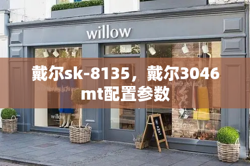 戴尔sk-8135，戴尔3046mt配置参数-第1张图片-星选测评