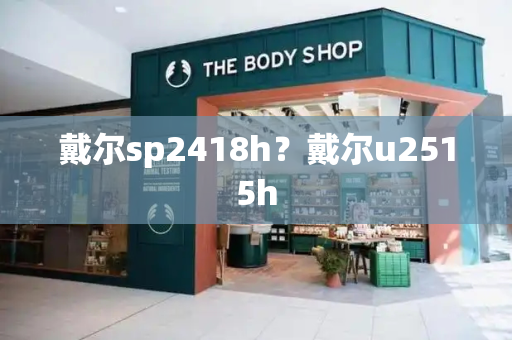 戴尔sp2418h？戴尔u2515h