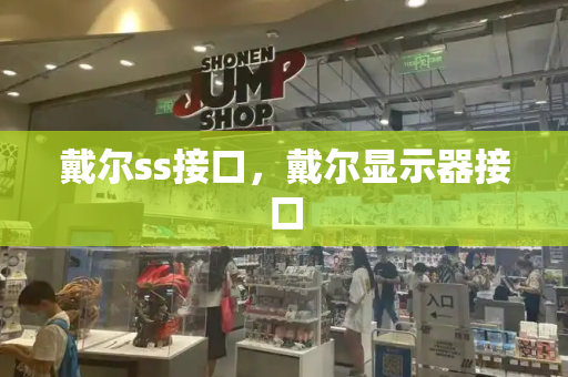 戴尔ss接口，戴尔显示器接口