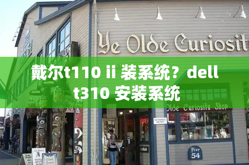 戴尔t110 ii 装系统？dell t310 安装系统