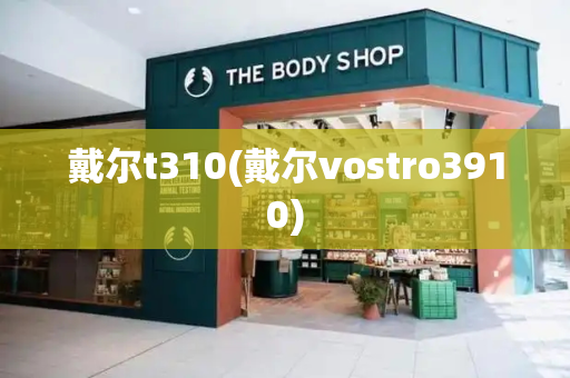 戴尔t310(戴尔vostro3910)