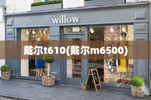 戴尔t610(戴尔m6500)-第1张图片-星选测评