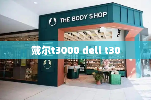 戴尔t3000 dell t30