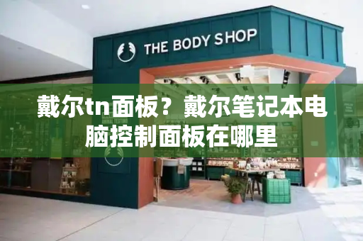 戴尔tn面板？戴尔笔记本电脑控制面板在哪里-第1张图片-星选测评