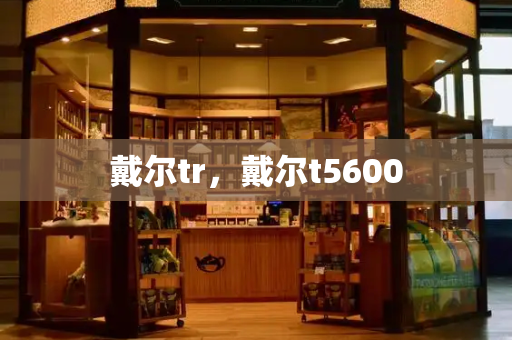 戴尔tr，戴尔t5600-第1张图片-星选测评