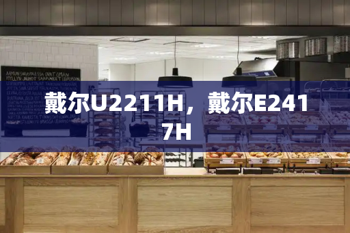 戴尔U2211H，戴尔E2417H-第1张图片-星选测评