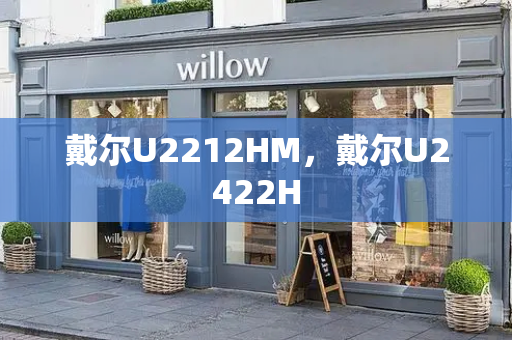 戴尔U2212HM，戴尔U2422H-第1张图片-星选测评