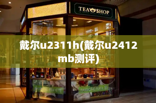 戴尔u2311h(戴尔u2412mb测评)-第1张图片-星选测评