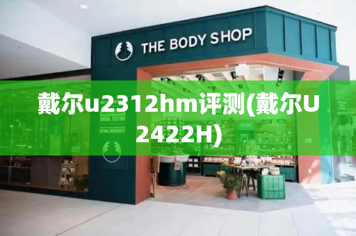 戴尔u2312hm评测(戴尔U2422H)