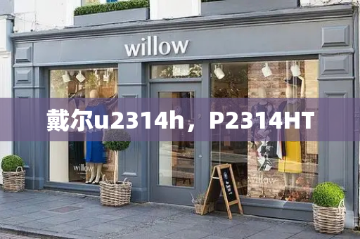 戴尔u2314h，P2314HT-第1张图片-星选测评