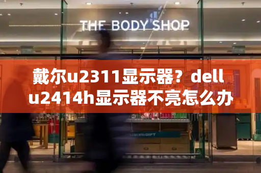 戴尔u2311显示器？dell u2414h显示器不亮怎么办-第1张图片-星选测评