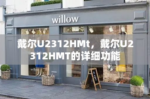 戴尔U2312HMt，戴尔U2312HMT的详细功能-第1张图片-星选测评
