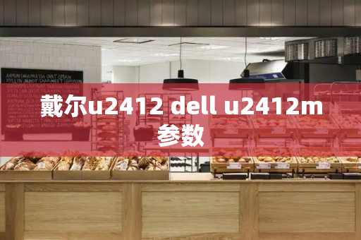 戴尔u2412 dell u2412m参数-第1张图片-星选测评