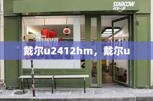 戴尔u2412hm，戴尔u-第1张图片-星选测评
