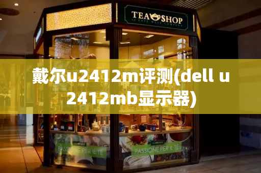 戴尔u2412m评测(dell u2412mb显示器)