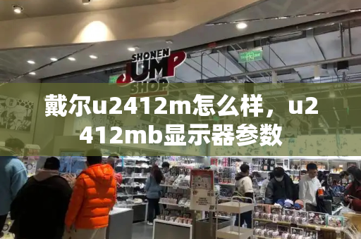 戴尔u2412m怎么样，u2412mb显示器参数