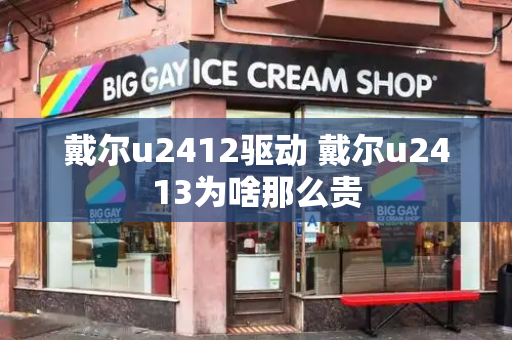 戴尔u2412驱动 戴尔u2413为啥那么贵-第1张图片-星选测评