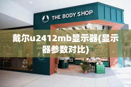 戴尔u2412mb显示器(显示器参数对比)