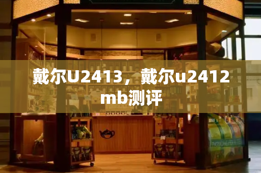 戴尔U2413，戴尔u2412mb测评