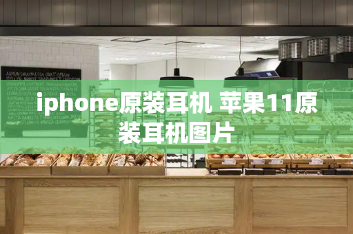 iphone原装耳机 苹果11原装耳机图片-第1张图片-星选测评