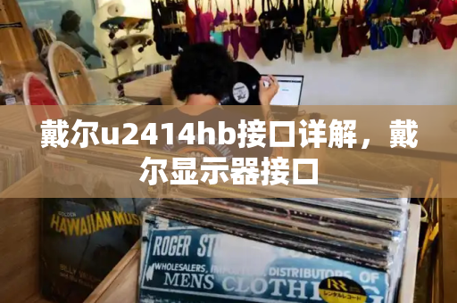 戴尔u2414hb接口详解，戴尔显示器接口-第1张图片-星选测评