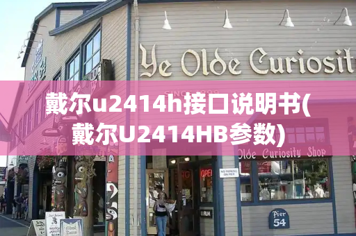 戴尔u2414h接口说明书(戴尔U2414HB参数)