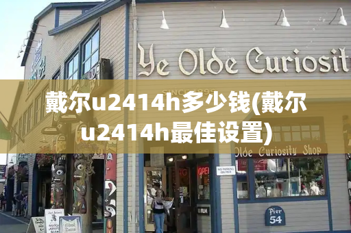 戴尔u2414h多少钱(戴尔u2414h最佳设置)-第1张图片-星选测评