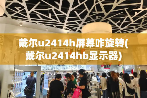 戴尔u2414h屏幕咋旋转(戴尔u2414hb显示器)