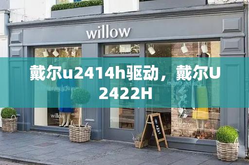 戴尔u2414h驱动，戴尔U2422H-第1张图片-星选测评