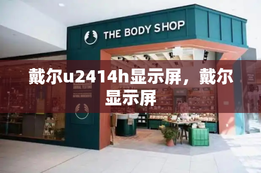 戴尔u2414h显示屏，戴尔显示屏-第1张图片-星选测评