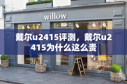 戴尔u2415评测，戴尔u2415为什么这么贵-第1张图片-星选测评