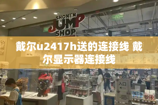 戴尔u2417h送的连接线 戴尔显示器连接线-第1张图片-星选测评