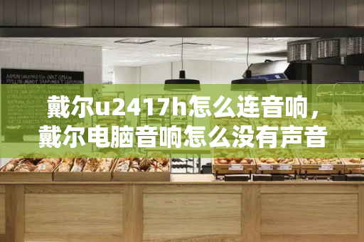 戴尔u2417h怎么连音响，戴尔电脑音响怎么没有声音怎么办