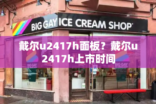 戴尔u2417h面板？戴尔u2417h上市时间-第1张图片-星选测评
