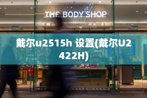 戴尔u2515h 设置(戴尔U2422H)