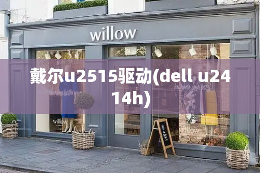 戴尔u2515驱动(dell u2414h)-第1张图片-星选测评