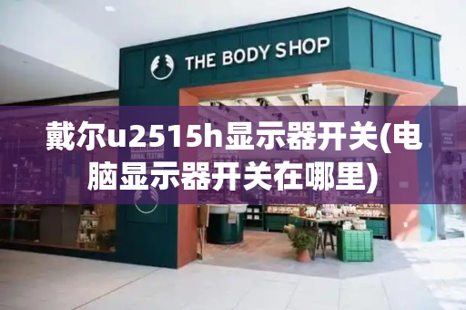 戴尔u2515h显示器开关(电脑显示器开关在哪里)